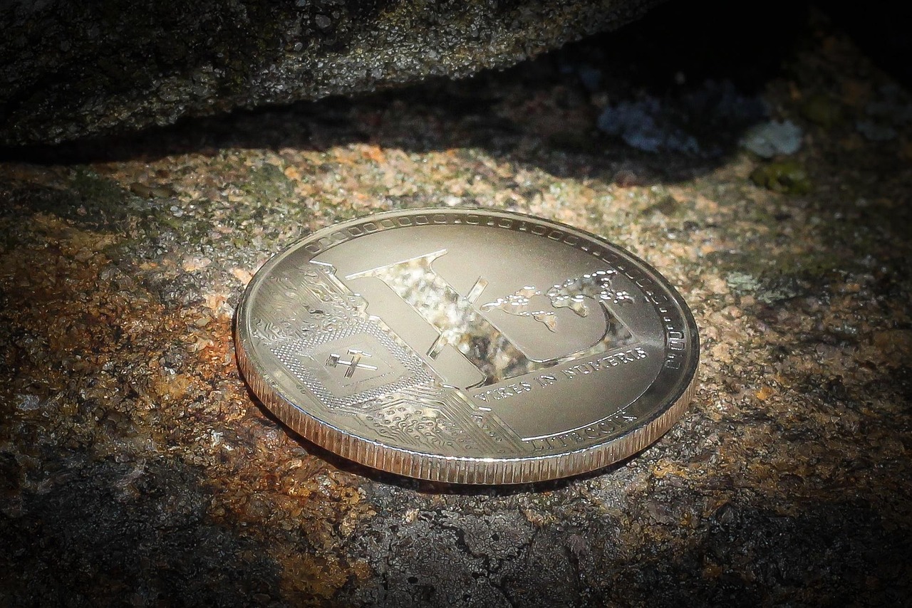 The Economic Architecture Of High-Yield Micro Ventures
